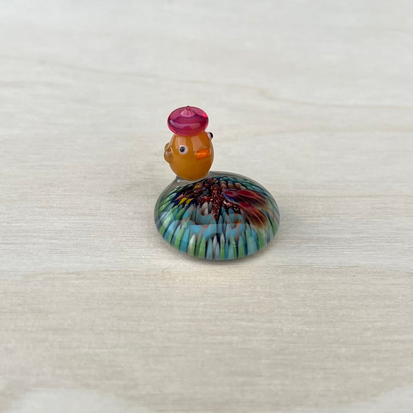 Duck on Coral