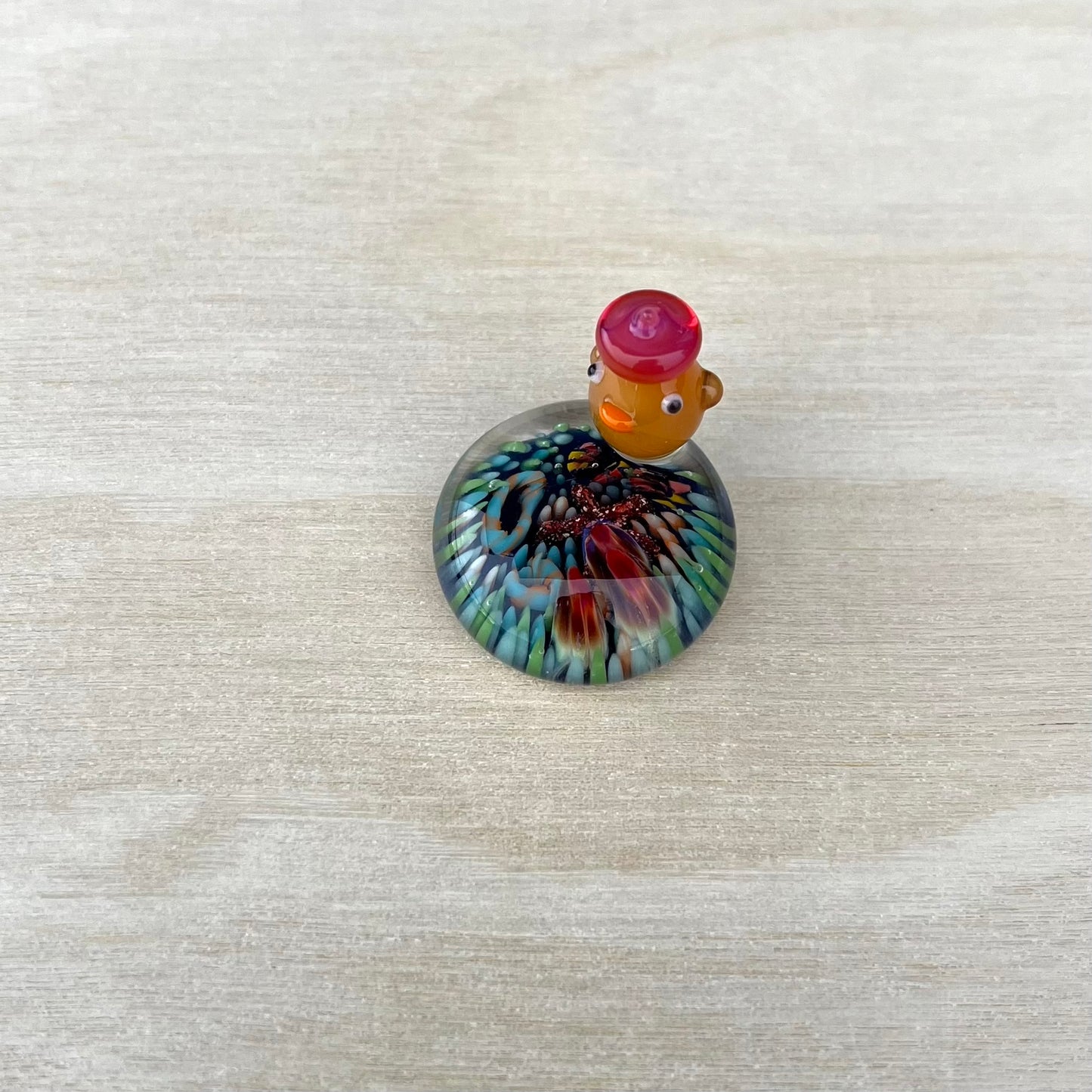 Duck on Coral